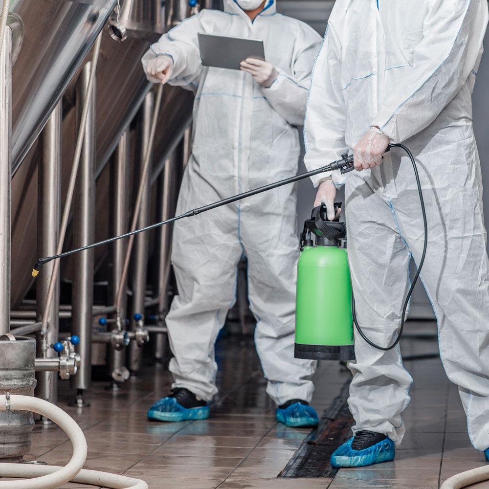 Prestations d hygiene et de proprete pour professionnels