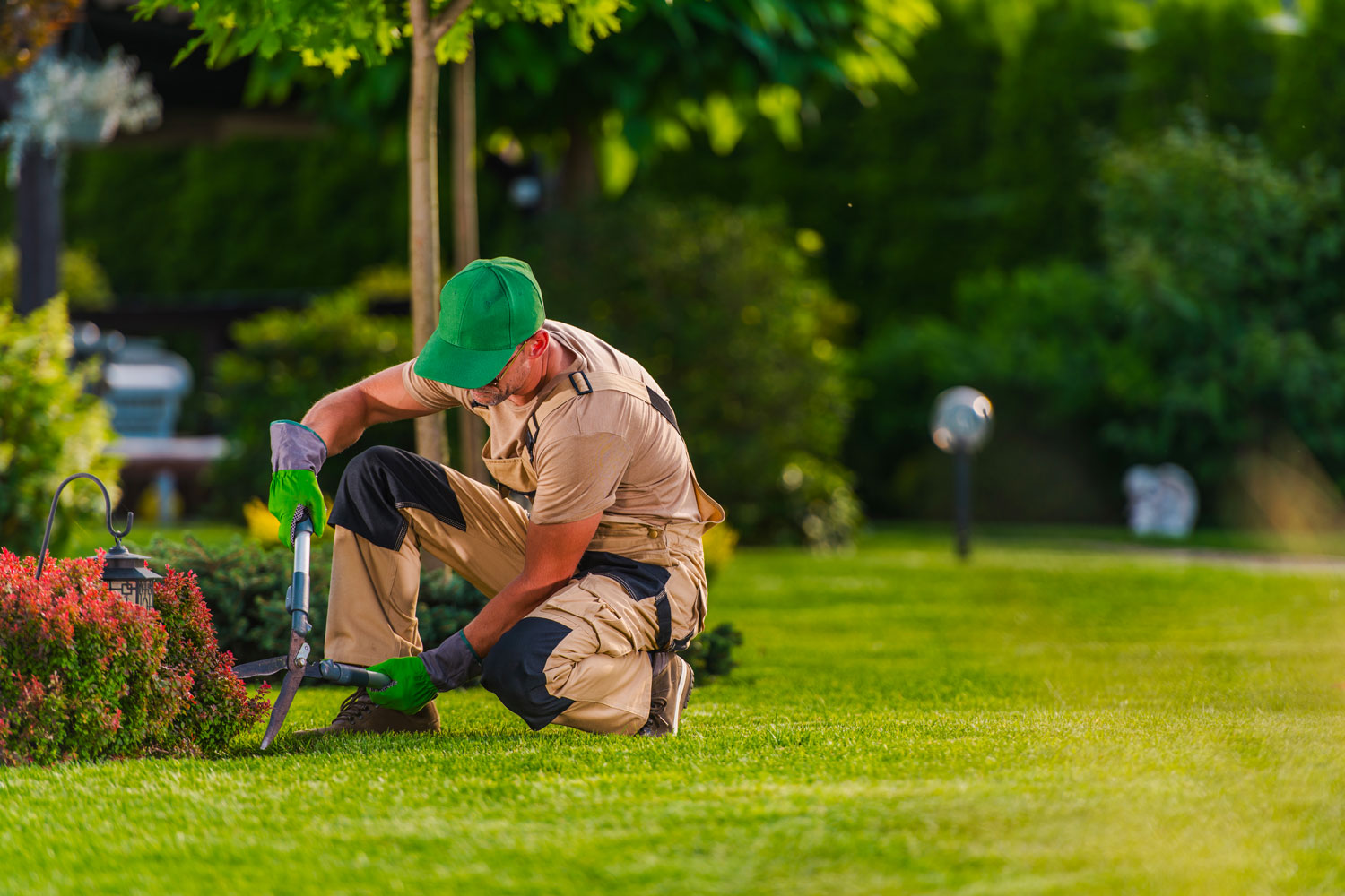 Entretien des espaces verts et services exterieurs